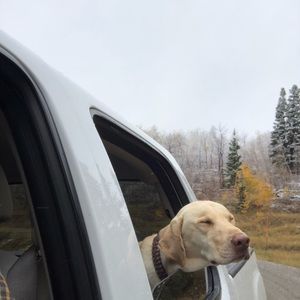 Meet your Posher, Josh